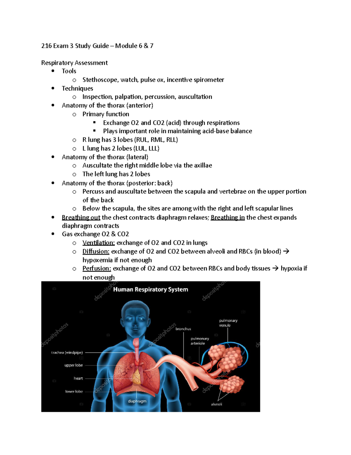 216 Exam 3 Study Guide - 216 Exam 3 Study Guide – Module 6 & 7 ...