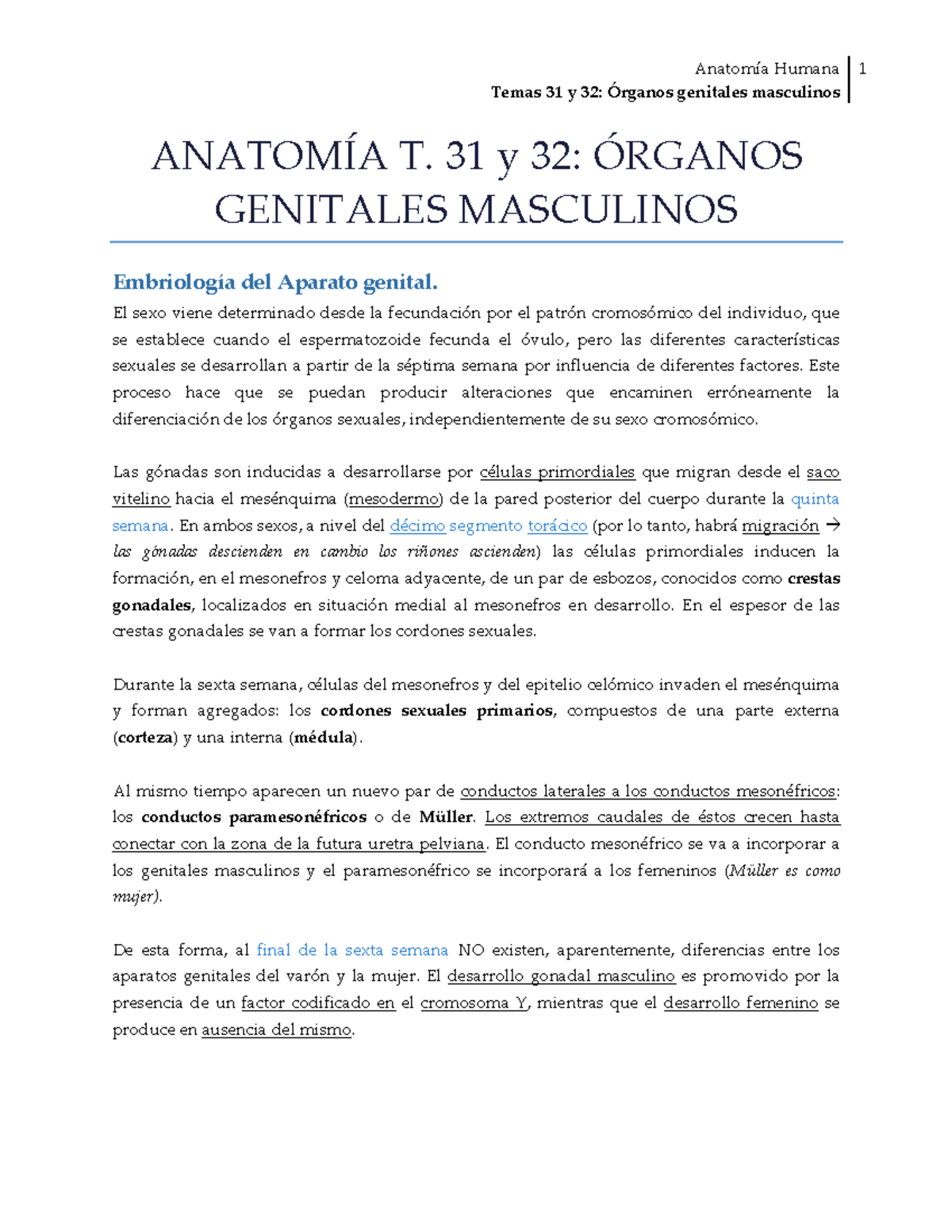 carcinoma de células renales varicocele del lado derecho