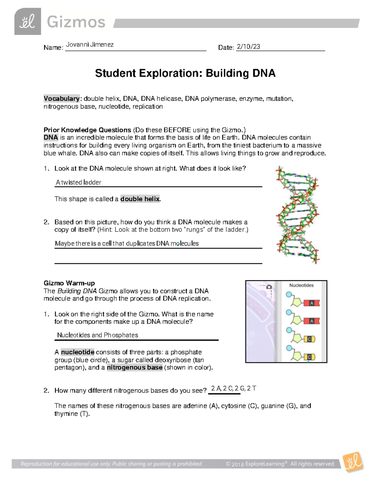 Building DNA Gizmo - 2018 Name ...