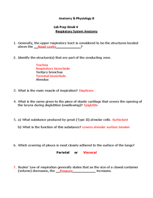 Lab Prep- Blood Vessels - Anatomy & Physiology II Weekly Prep The ...