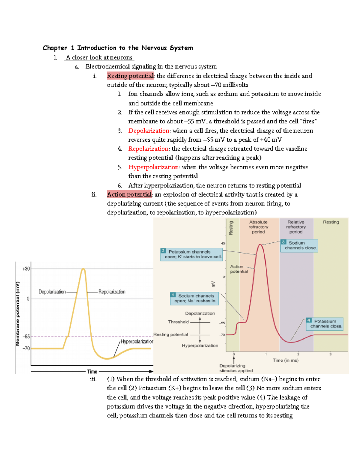 Chapter 1 (Introduction To The Nervous System) - Chapter 1 Introduction ...