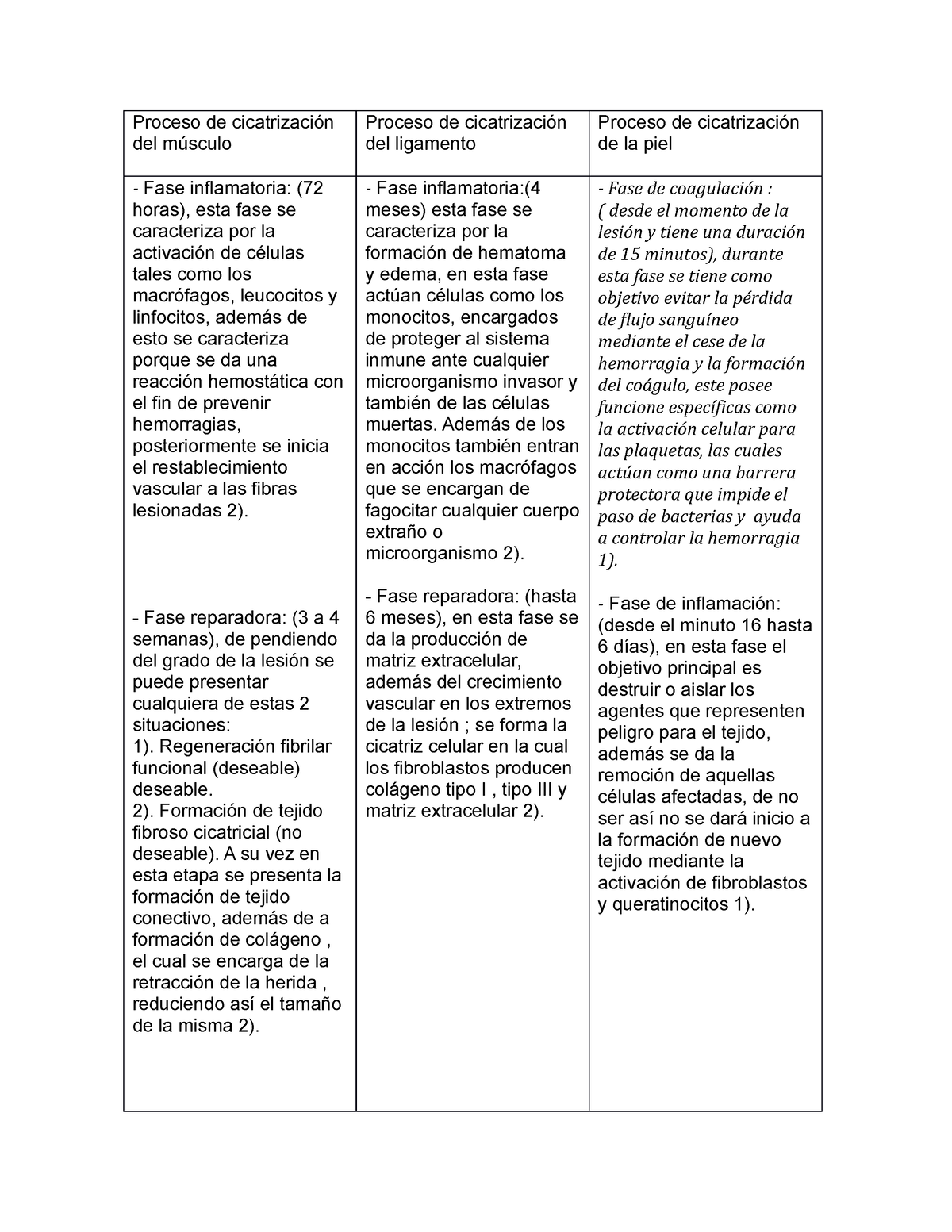 Proceso De Cicatrizacion Del Musculo - Proceso De Cicatrización Del ...