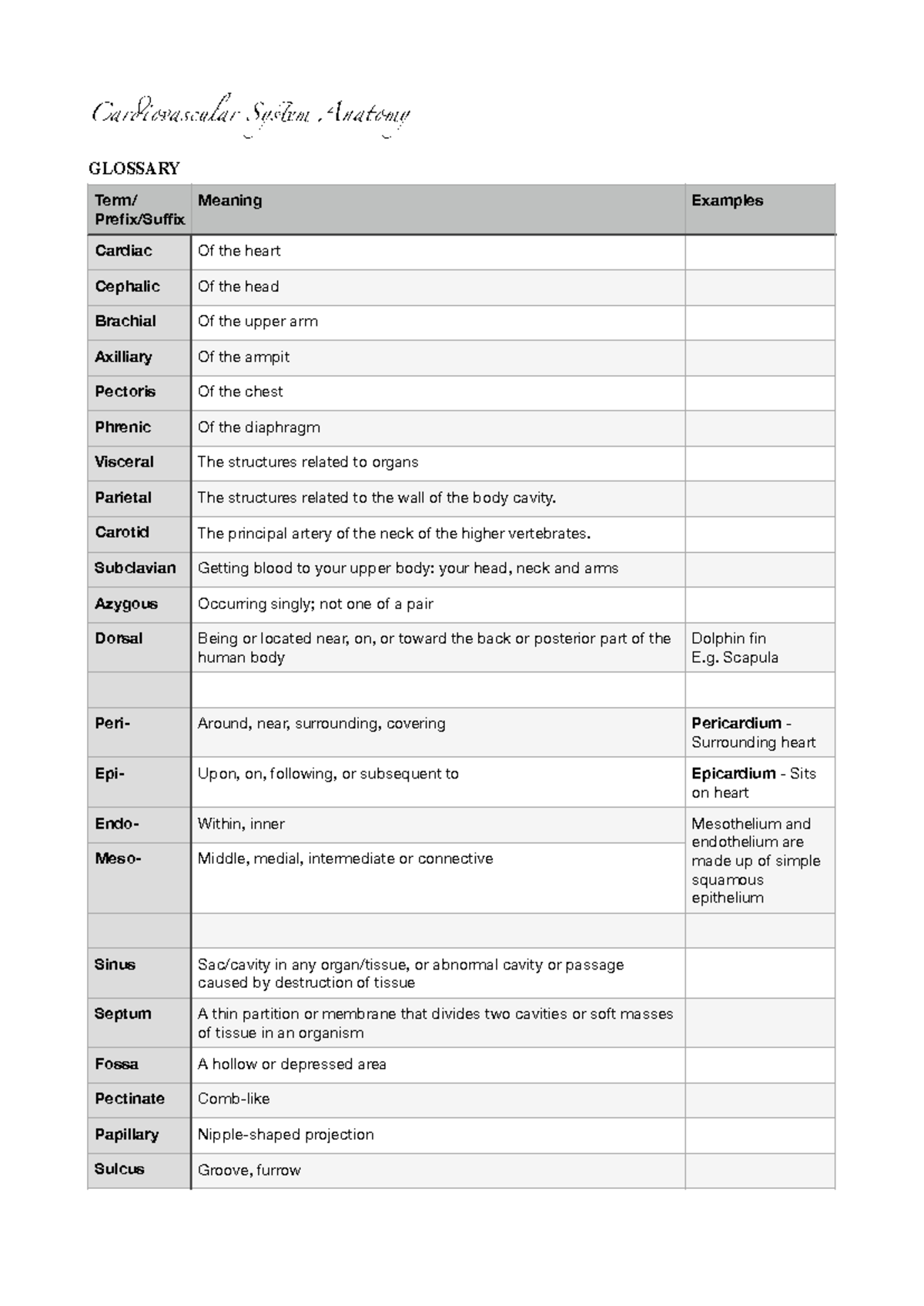 CVS Anatomy - Cardiovascular System Anatomy GLOSSARY Term/ Prefix ...