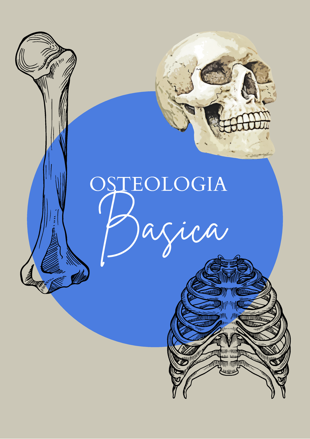 Anato Clase 2- Osteologia - OSTEOLOGIA Basica Es El Area De Estudio Que ...