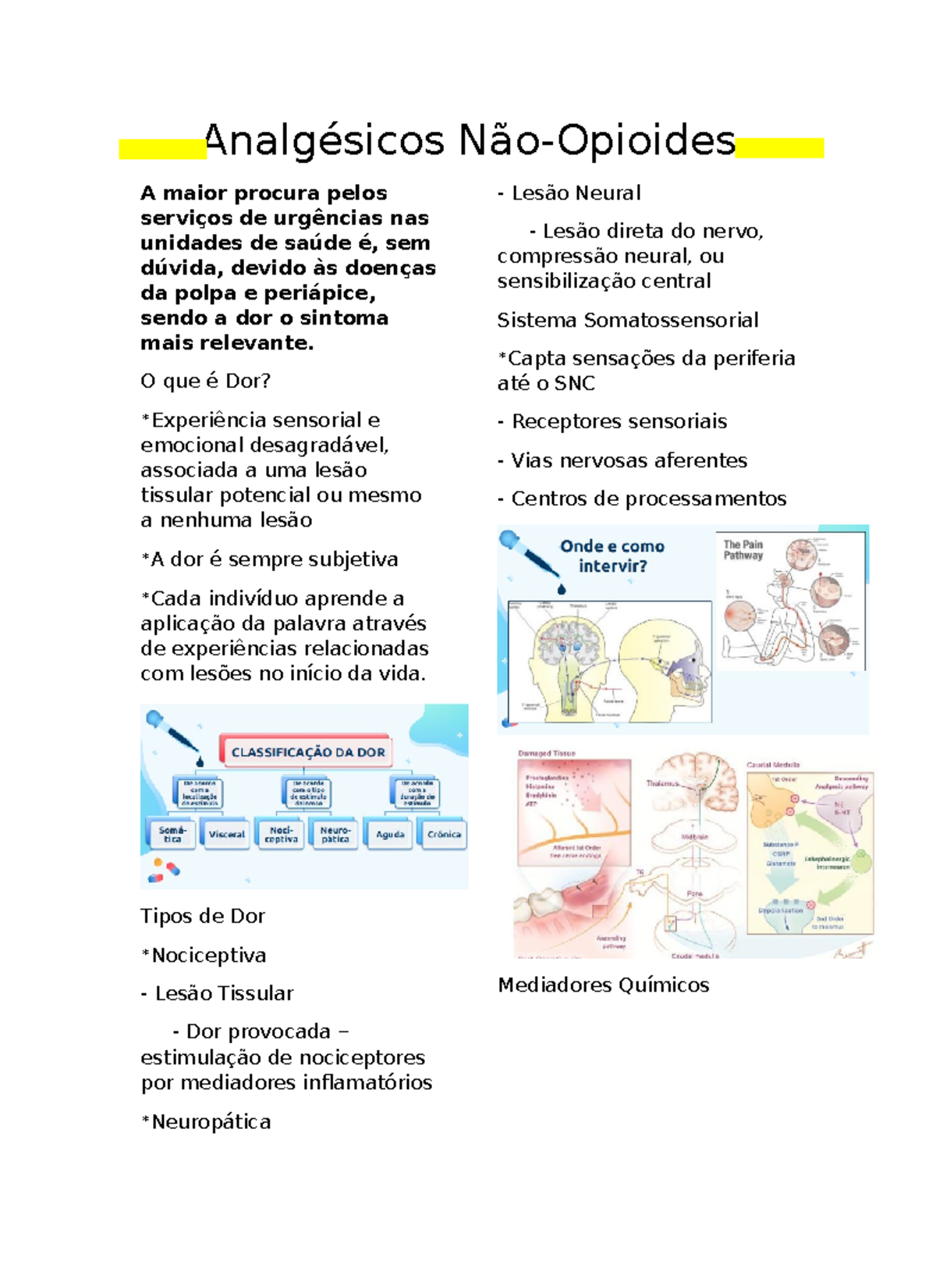 Analgésicos Não - Opióides - Resumo - Analgésicos Não-Opioides A maior ...