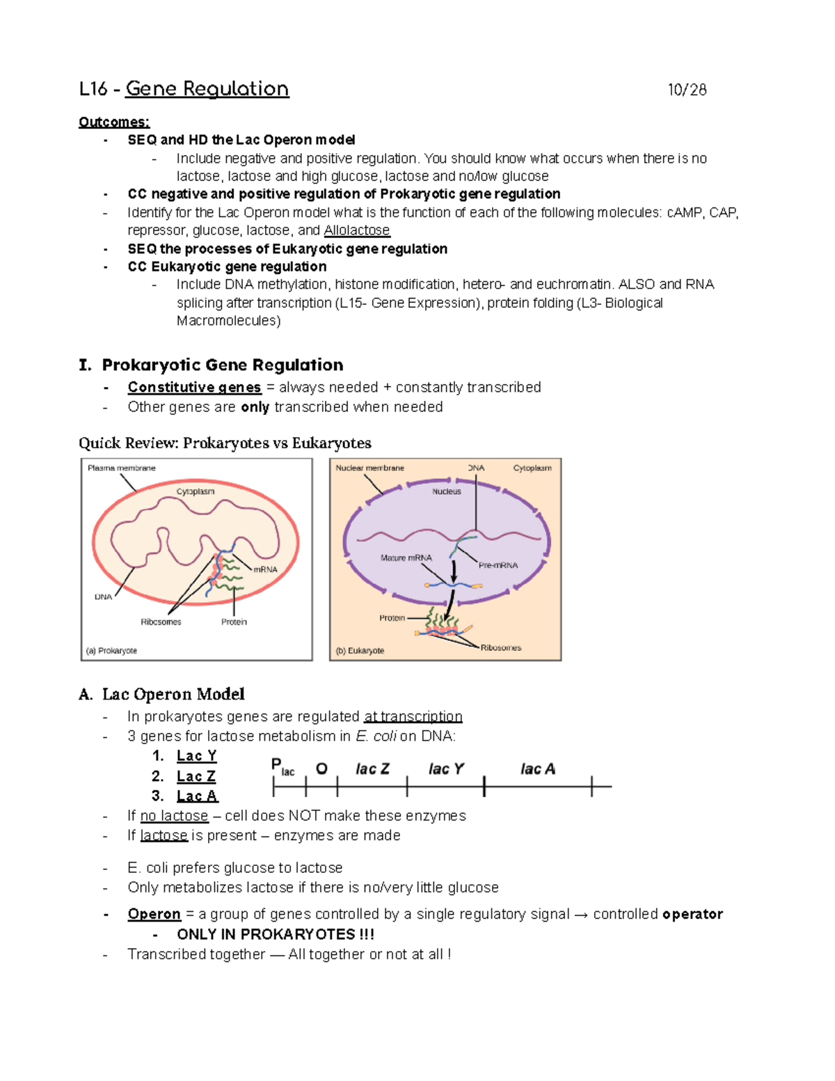 Lecture 16 Gene Regulation L16 Gene Regulation 10/