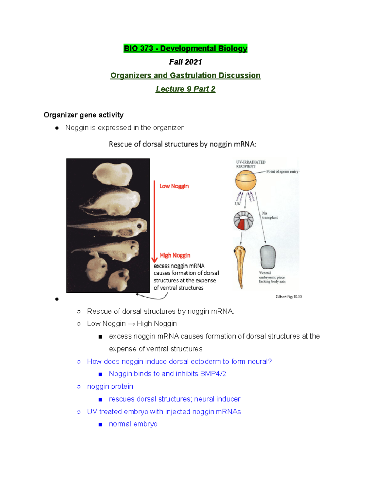 BIO 373 Lecture 9 Part 2 - Fall 2021 - BIO 373 - Studocu