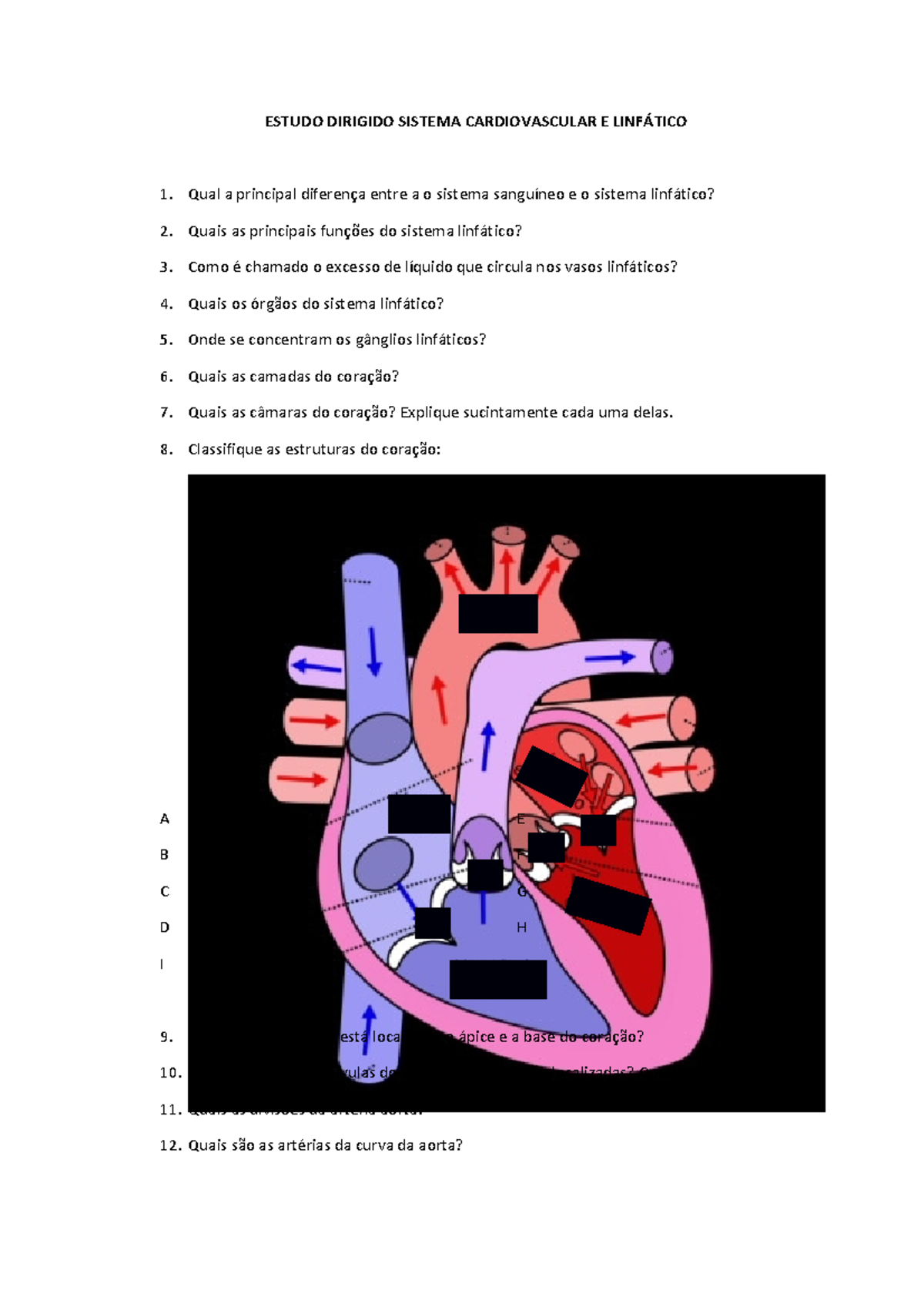Estudo dirigido sobre sistema cardiovascular e linfático - ESTUDO ...