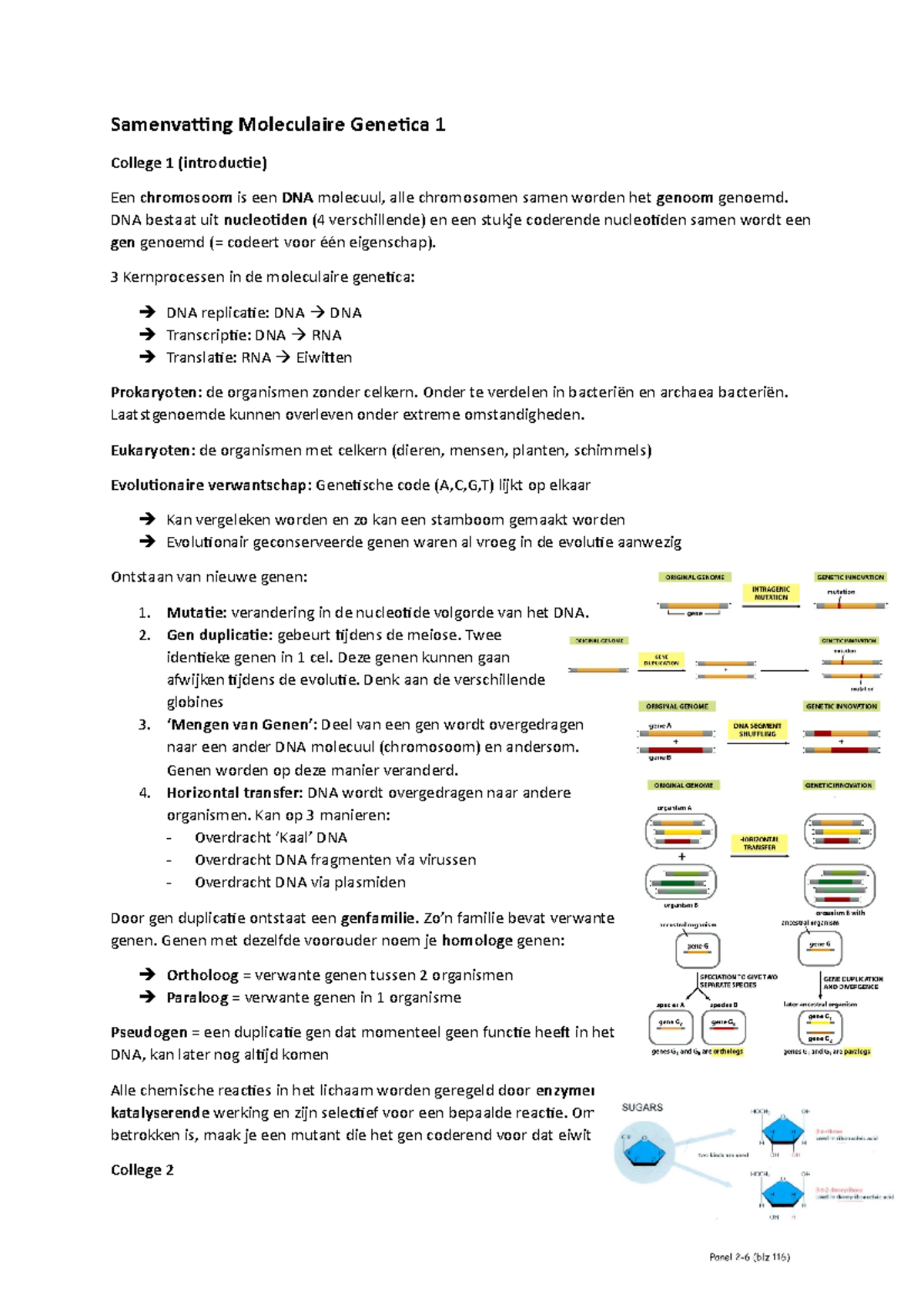 Samenvatting Moleculaire Genetica 1 - DNA Bestaat Uit Nucleotiden (4 ...