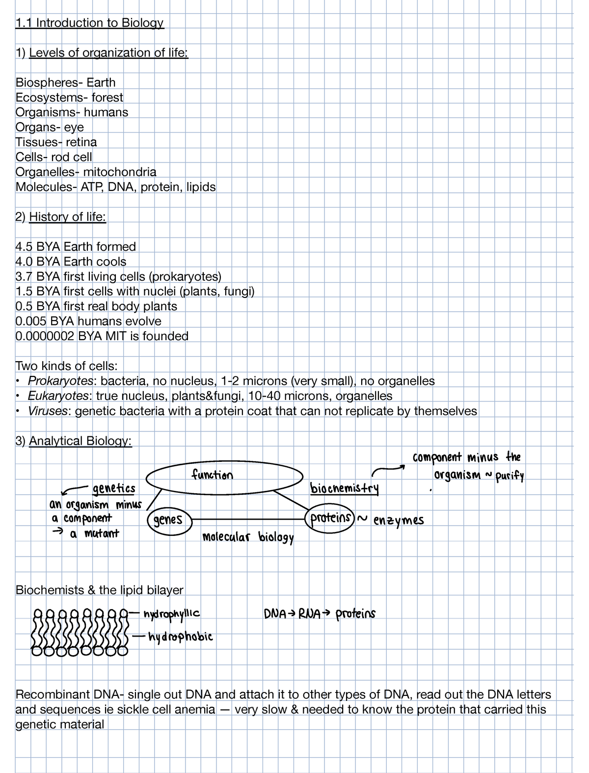 1.1 Introduction To Biology - 1 Introduction To Biology Levels Of ...