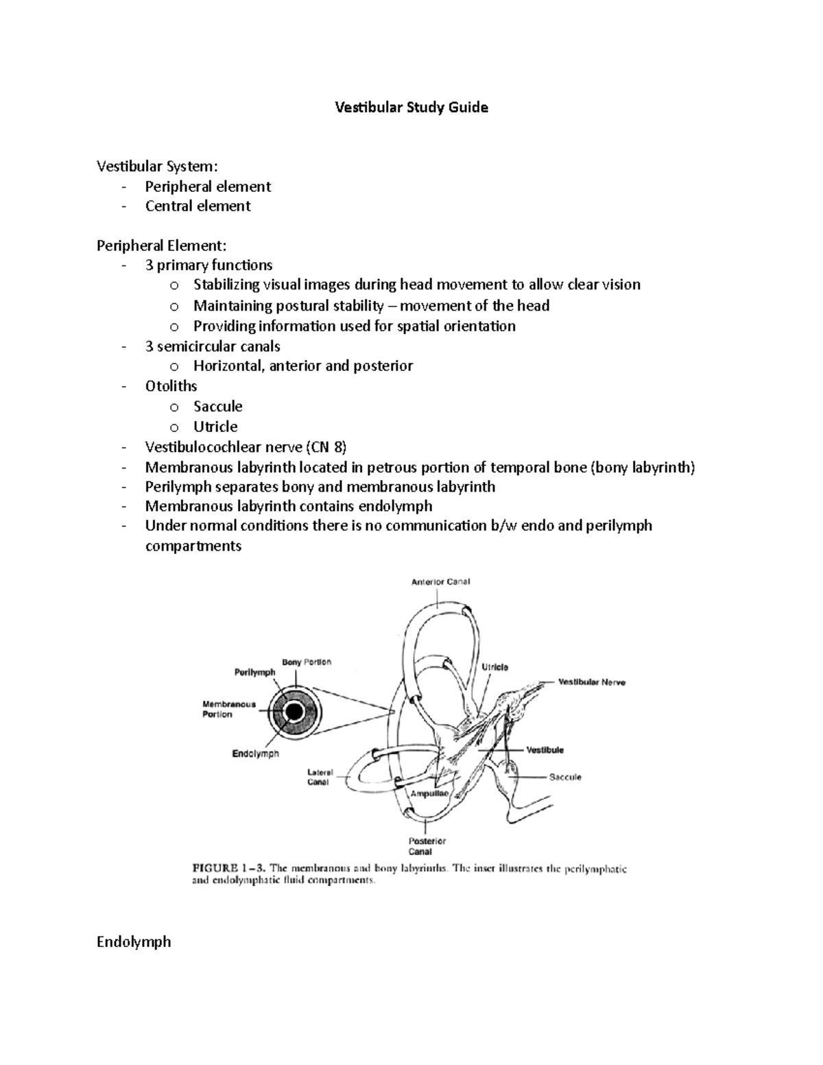 Vestibular Study Guide - Vestibular Study Guide Vestibular System ...