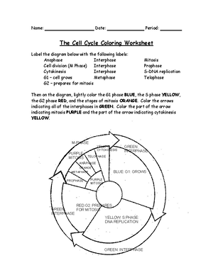 10 - cells - Name: Date: Period: The Cell Cycle Coloring Worksheet Label  the diagram below with the - Studocu