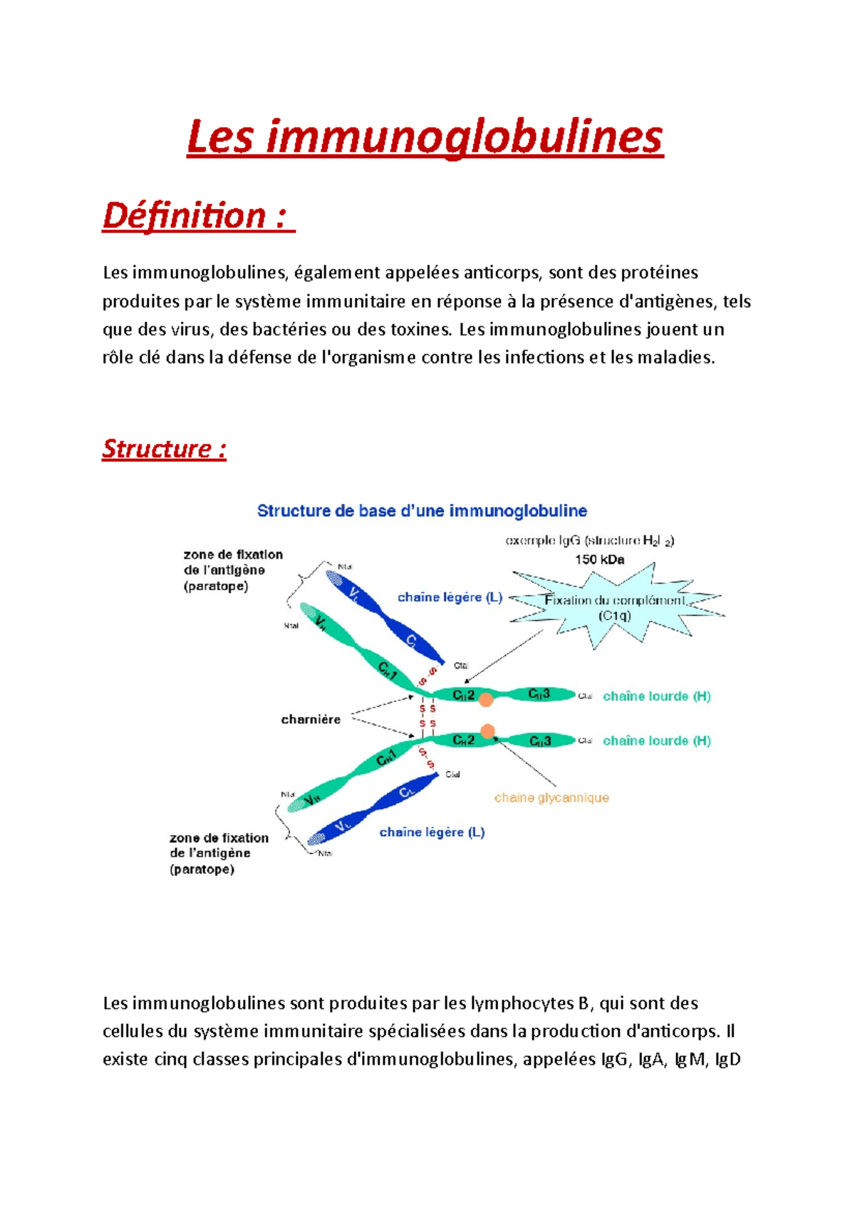 Les Immunoglobulines - Les Immunoglobulines Jouent Un Rôle Clé Dans La ...