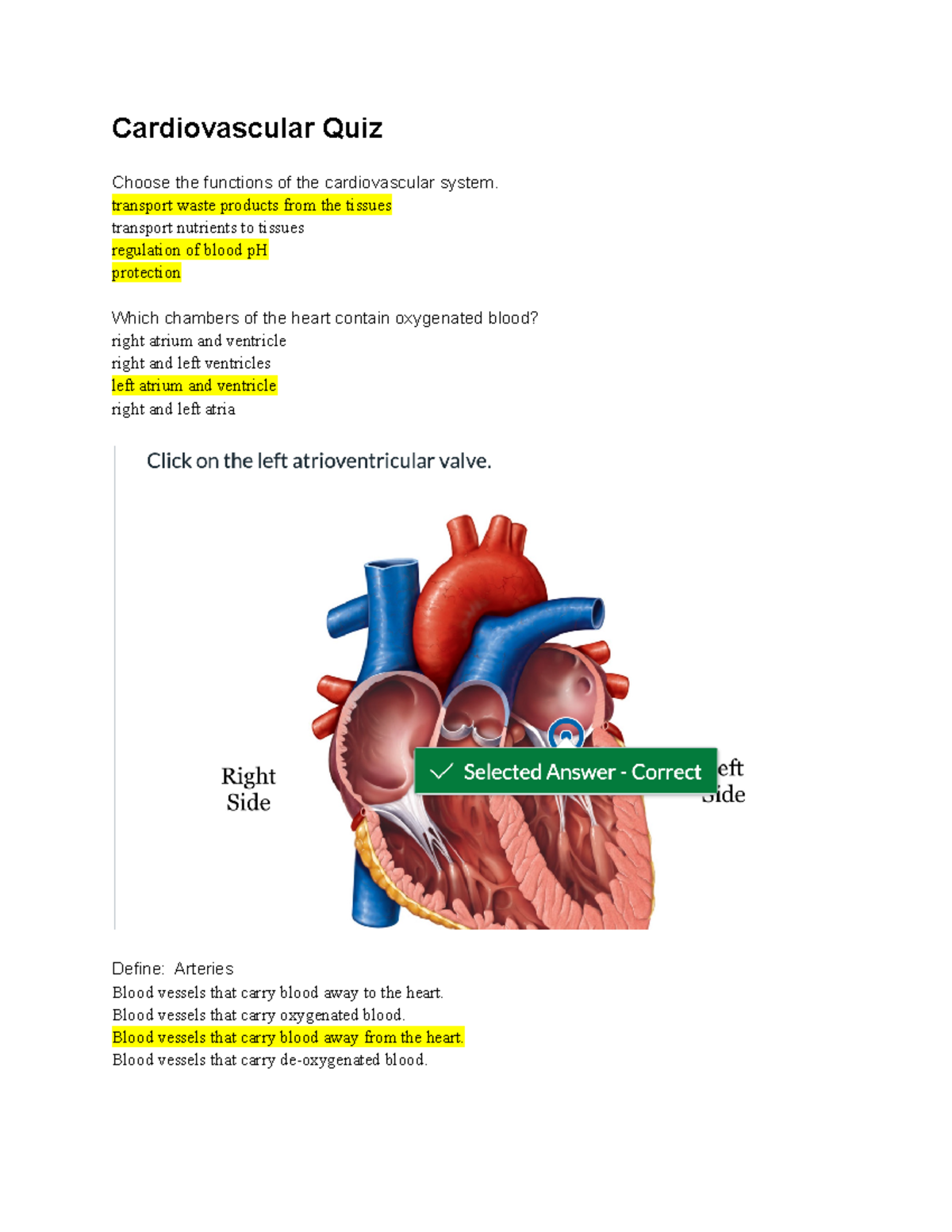 Ans 214 quizzes QUIZ ANSWERS Cardiovascular Quiz Choose the