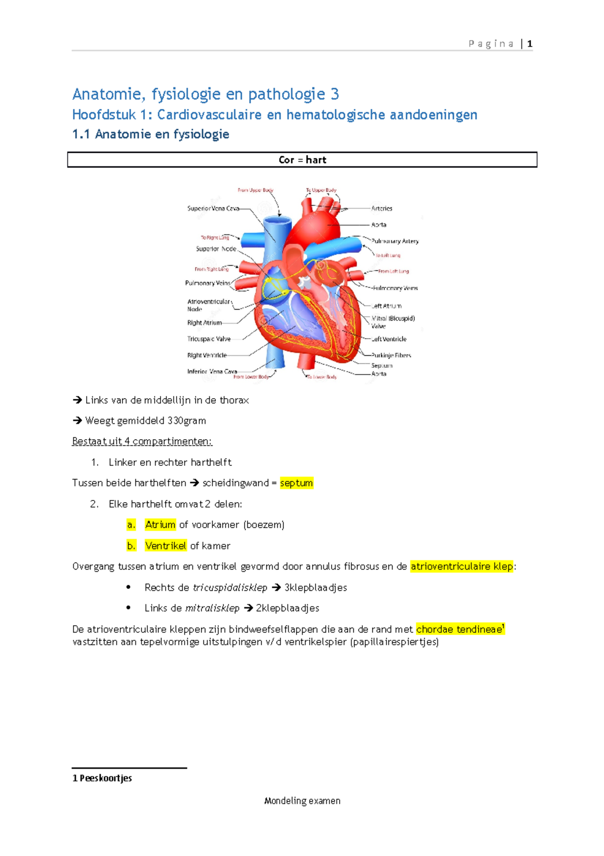 AFP 3 - Samenvatting Anatomie, Fysiologie En Pathologie 3 - Pagina ...