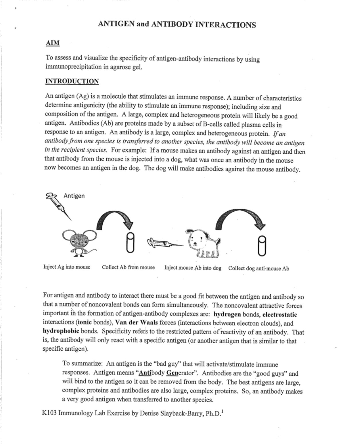 Wk10 Immunology lab 281 29 BIOLK103 Studocu