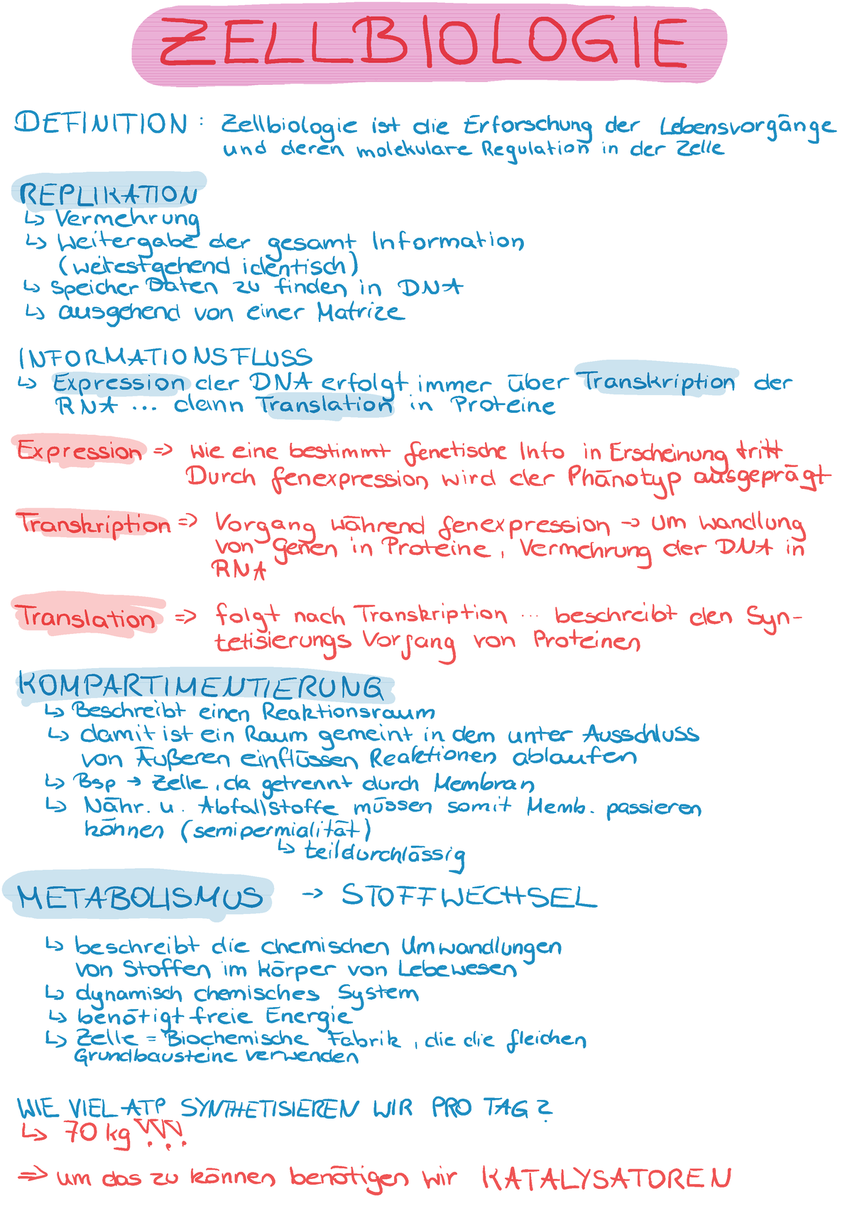 Mitschrift 01 Zellbio - Komplett Zusammenfassung Der Ersten Vorlesung ...