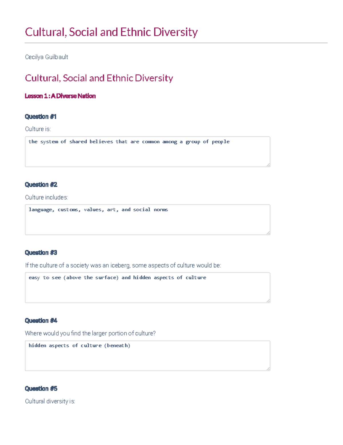 Cultural, Social And Ethnic Diversity Aes - Cultural, Social And Ethnic ...