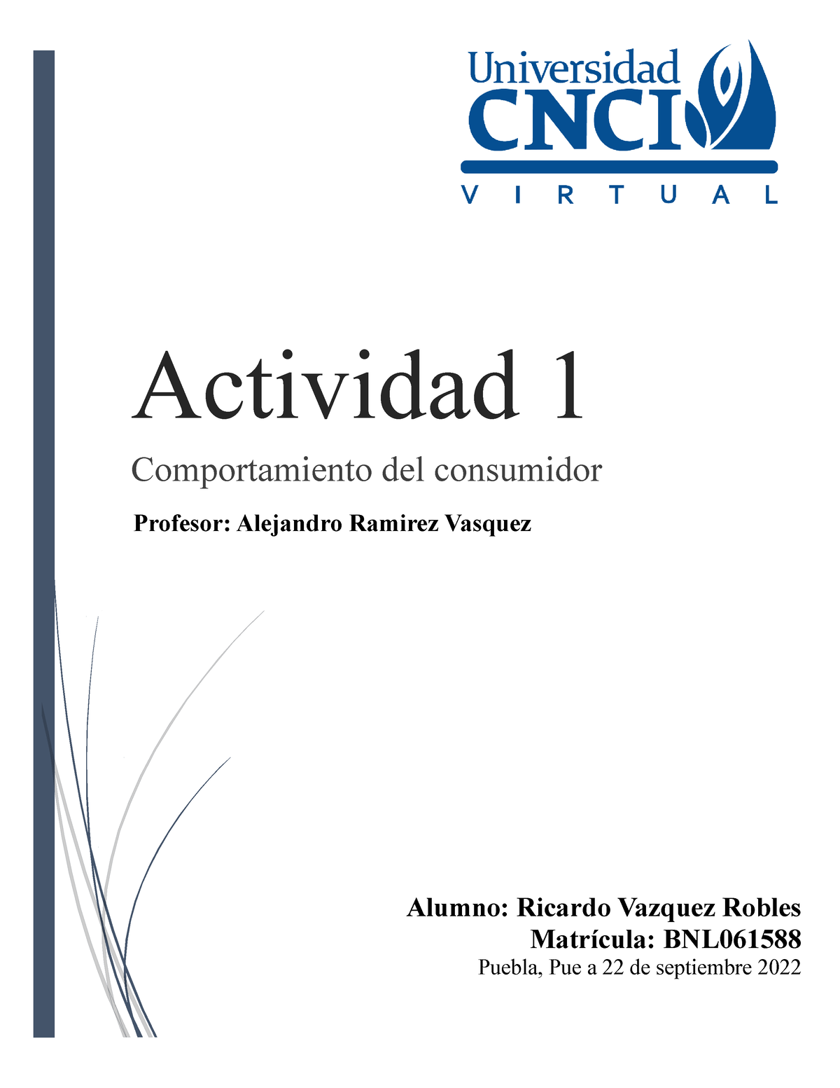 Actividad 1- Comportamiento Del Consumidor - Profesor: Alejandro ...