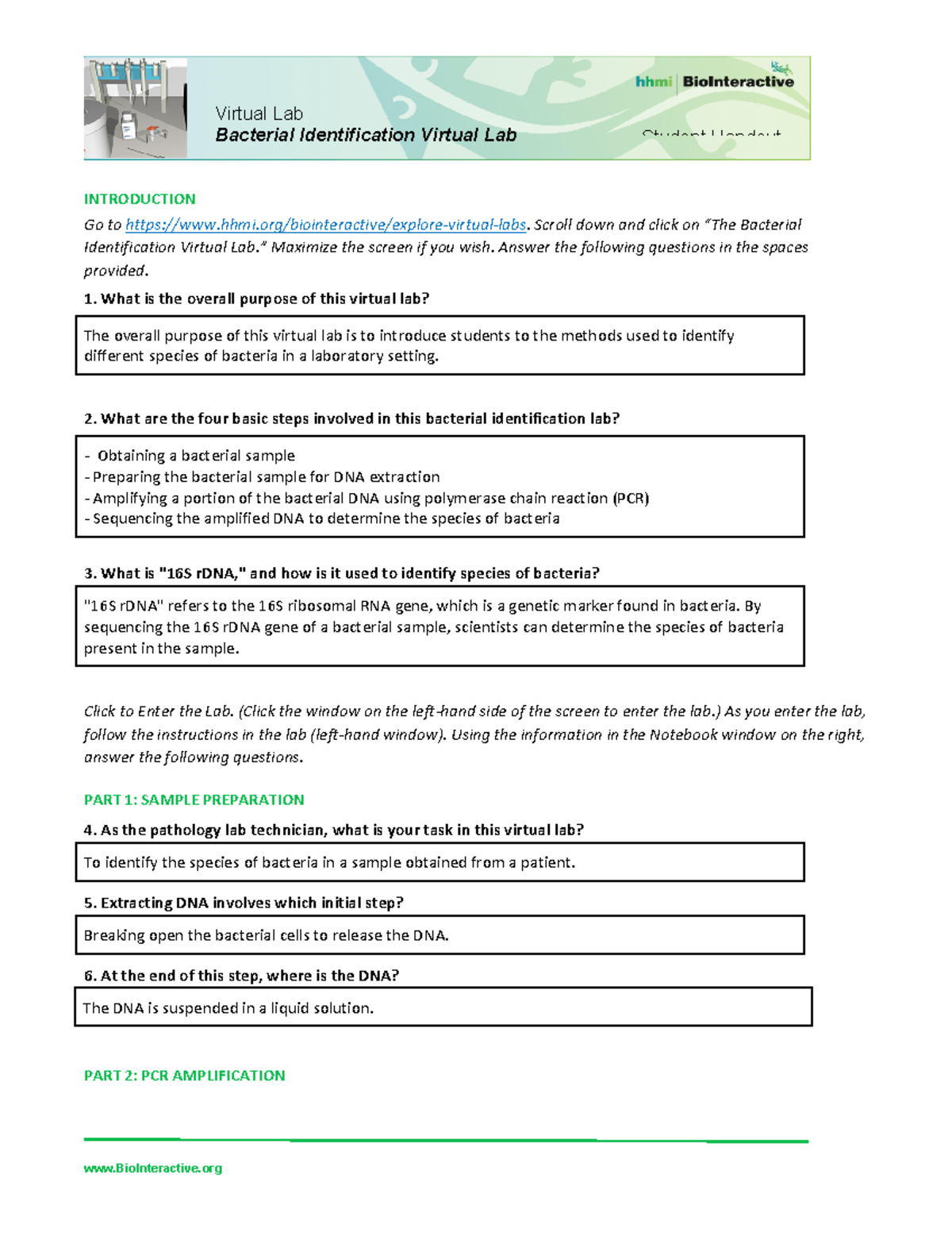 1E823434 3985 479D 8117 AAB59CD2CB58 Bacterial Identification Virtual