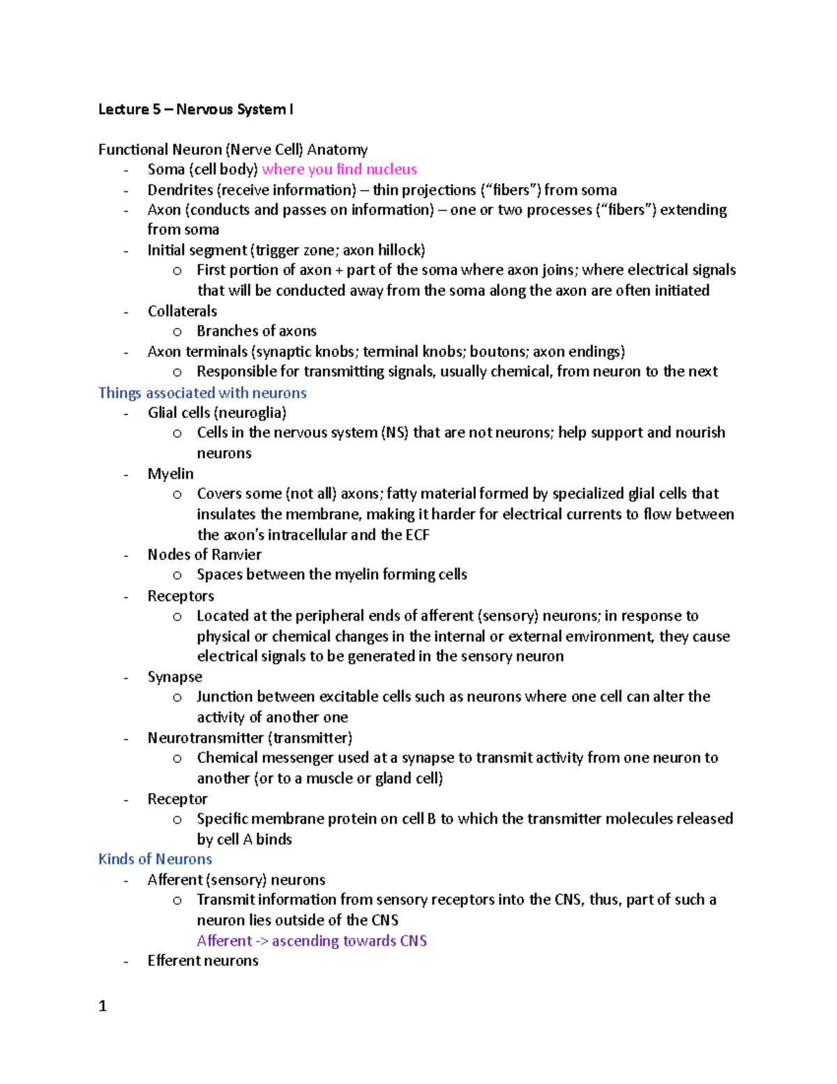Physiology I Exam Block 2 - Lecture 5 – Nervous System I Functional ...