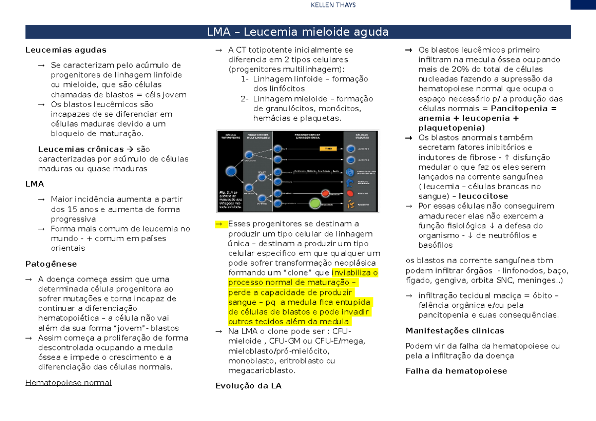 LMA - Leucemia Mieloide Aguda - TRATADO DE HEMATOLOGIA - LMA – Leucemia ...