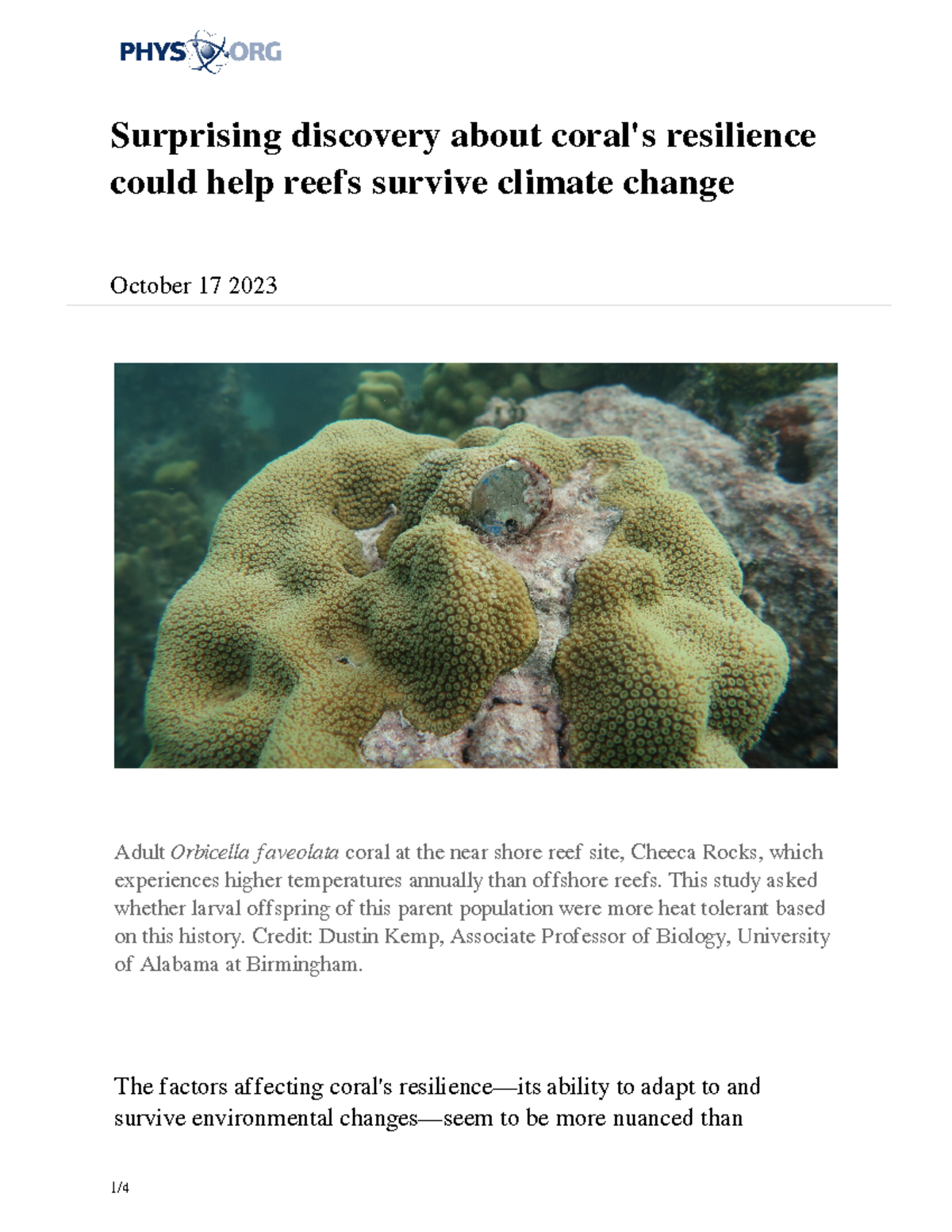 2023-10-discovery-coral-resilience-reefs-survive - Surprising Discovery ...