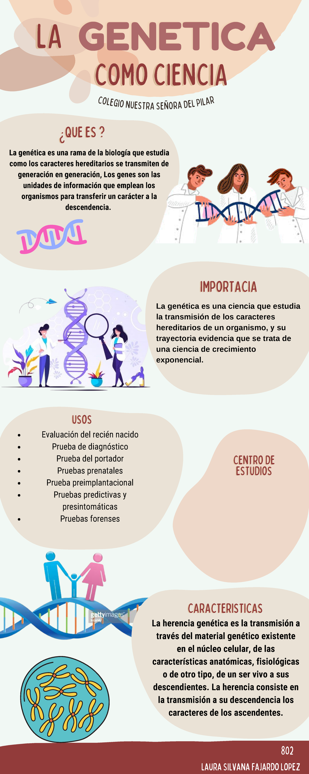 Infografia Evolucion Humana Ilustrado Colores Neutrales - COMO ...