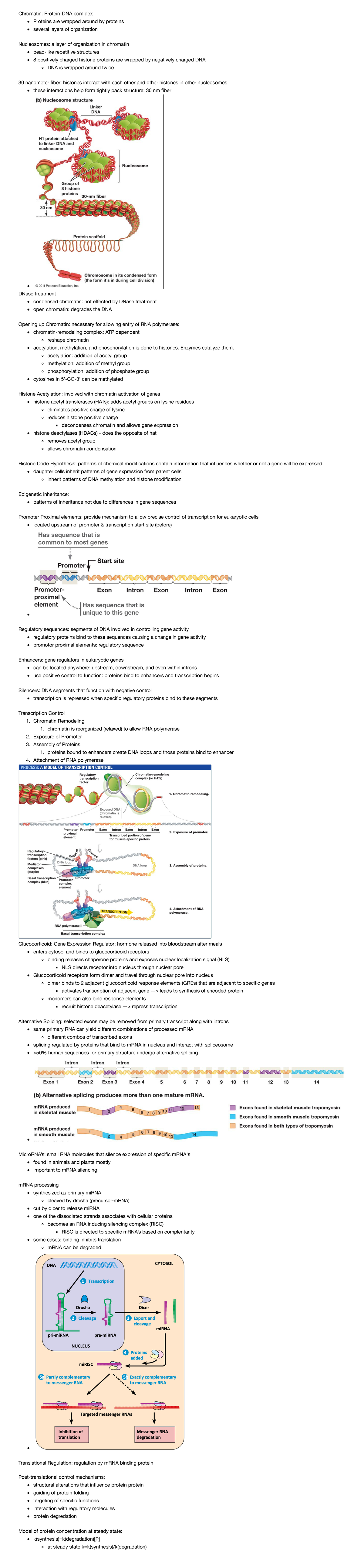 17-10-17-16 - Gene Regulation In Eukaryotes - Chromatin: Protein-DNA ...