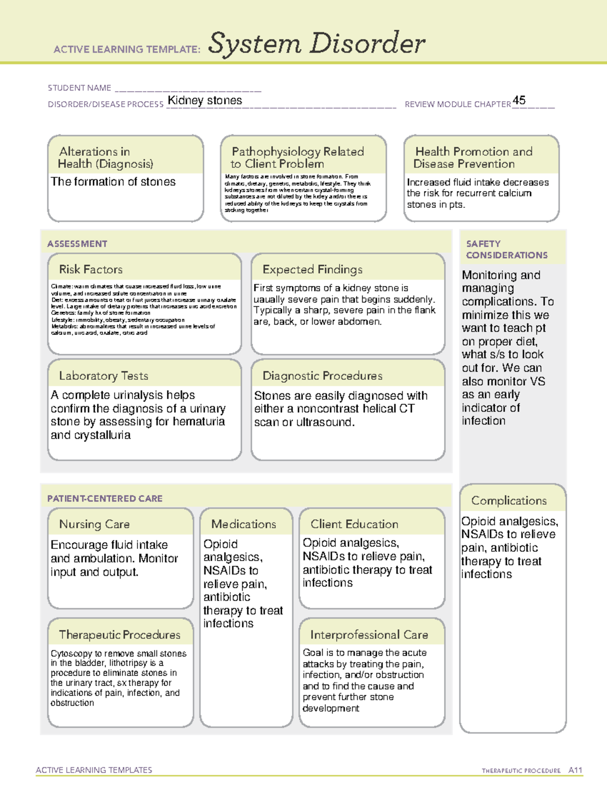 Kidney Stones - ACTIVE LEARNING TEMPLATES THERAPEUTIC PROCEDURE A ...