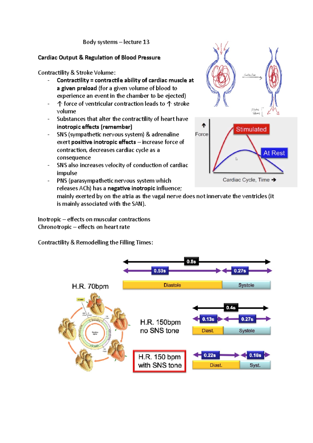 Body systems lecture 13 Body systems lecture 13 Cardiac Output