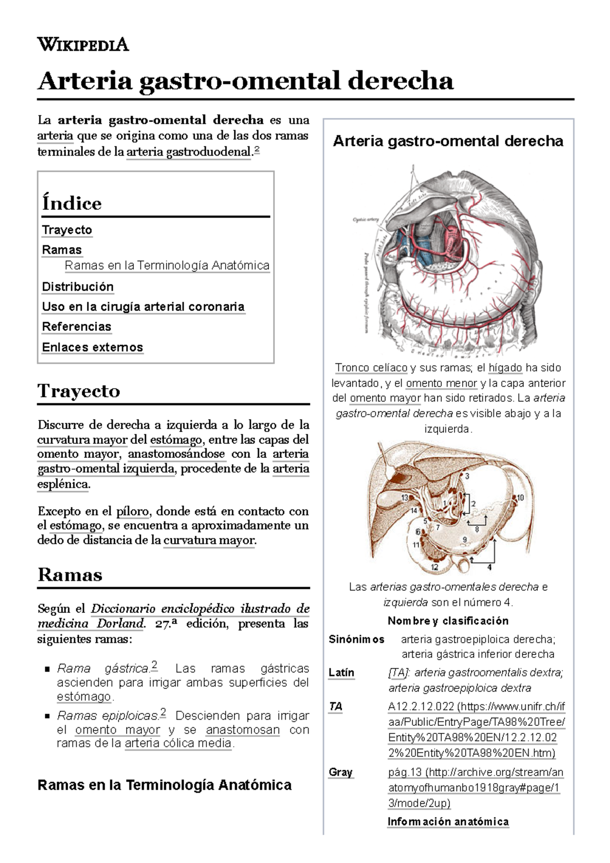 Arteria gastroomental derecha Wikipedia, la enciclopedia libre