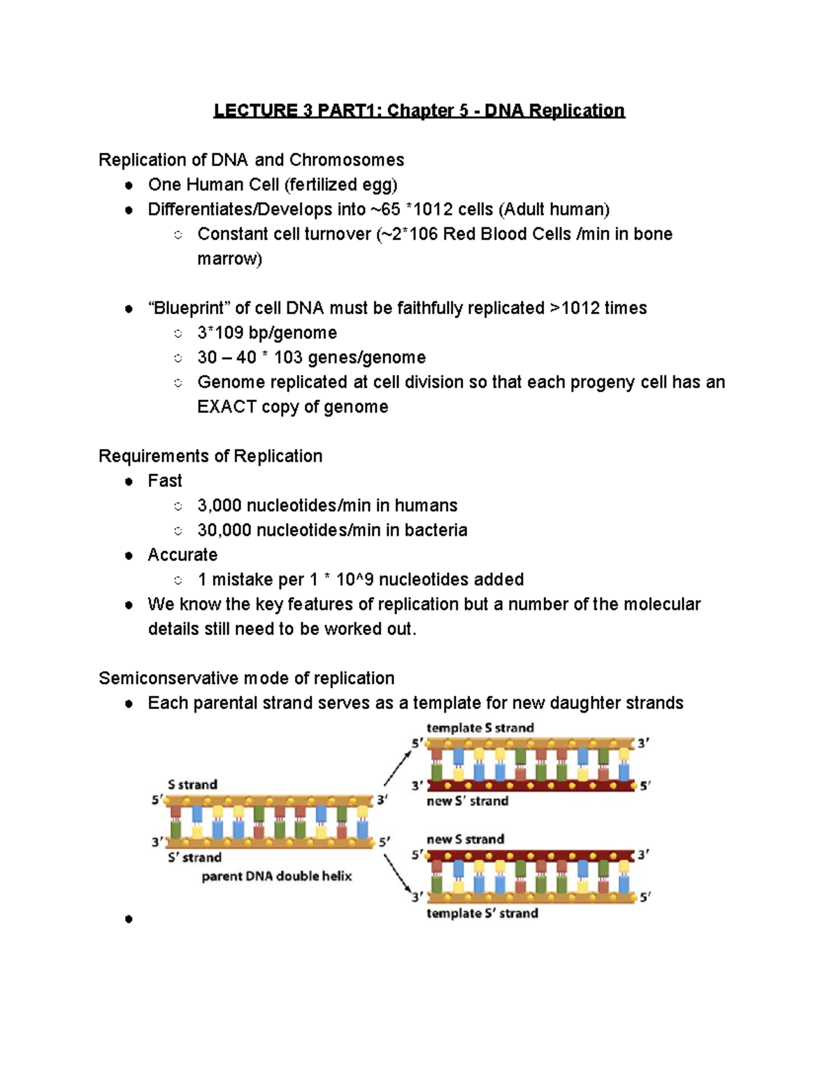 BIO 209 Lecture 3 Notes Part 1 - LECTURE 3 PART1: Chapter 5 - DNA ...