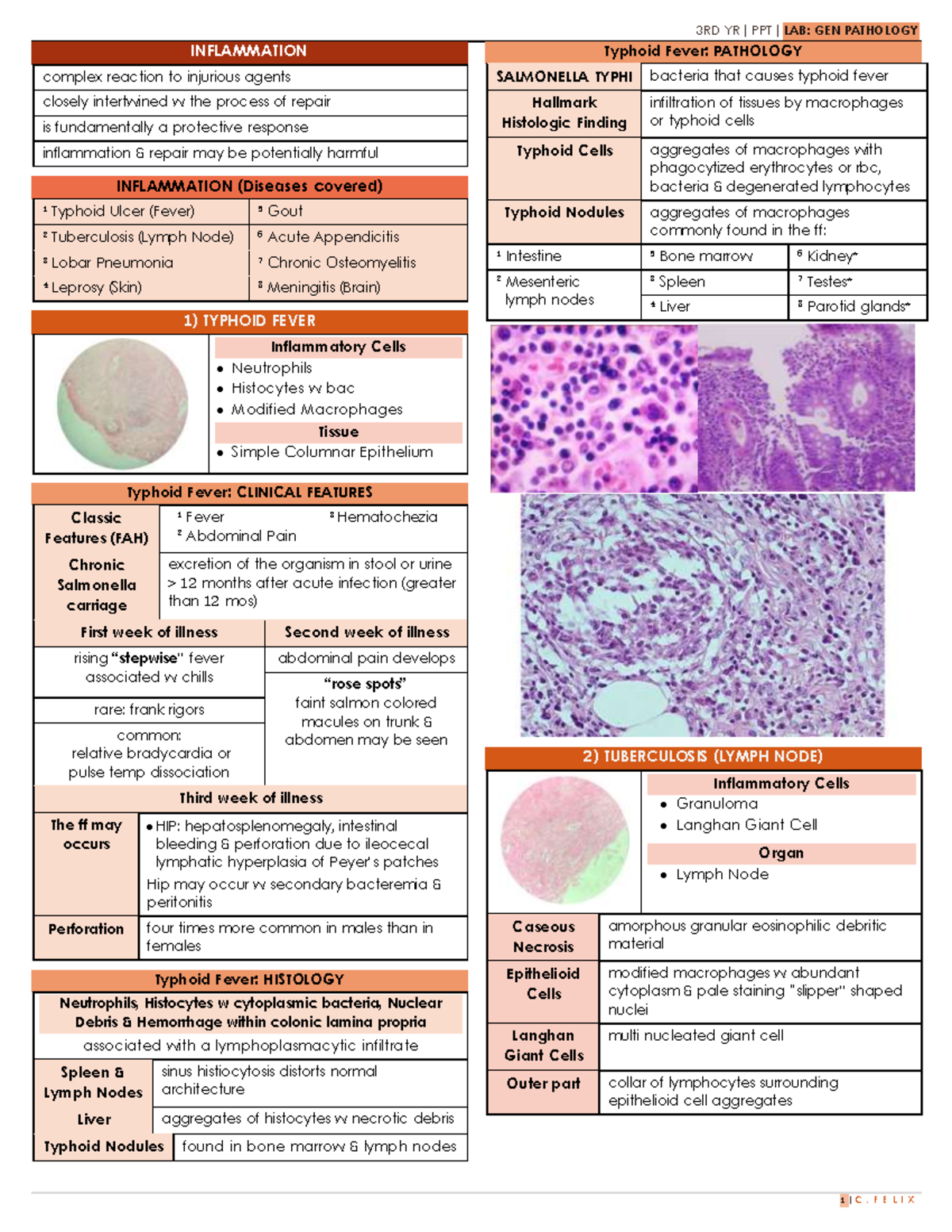 Inflammation - Hope this helps - INFLAMMATION complex reaction to ...