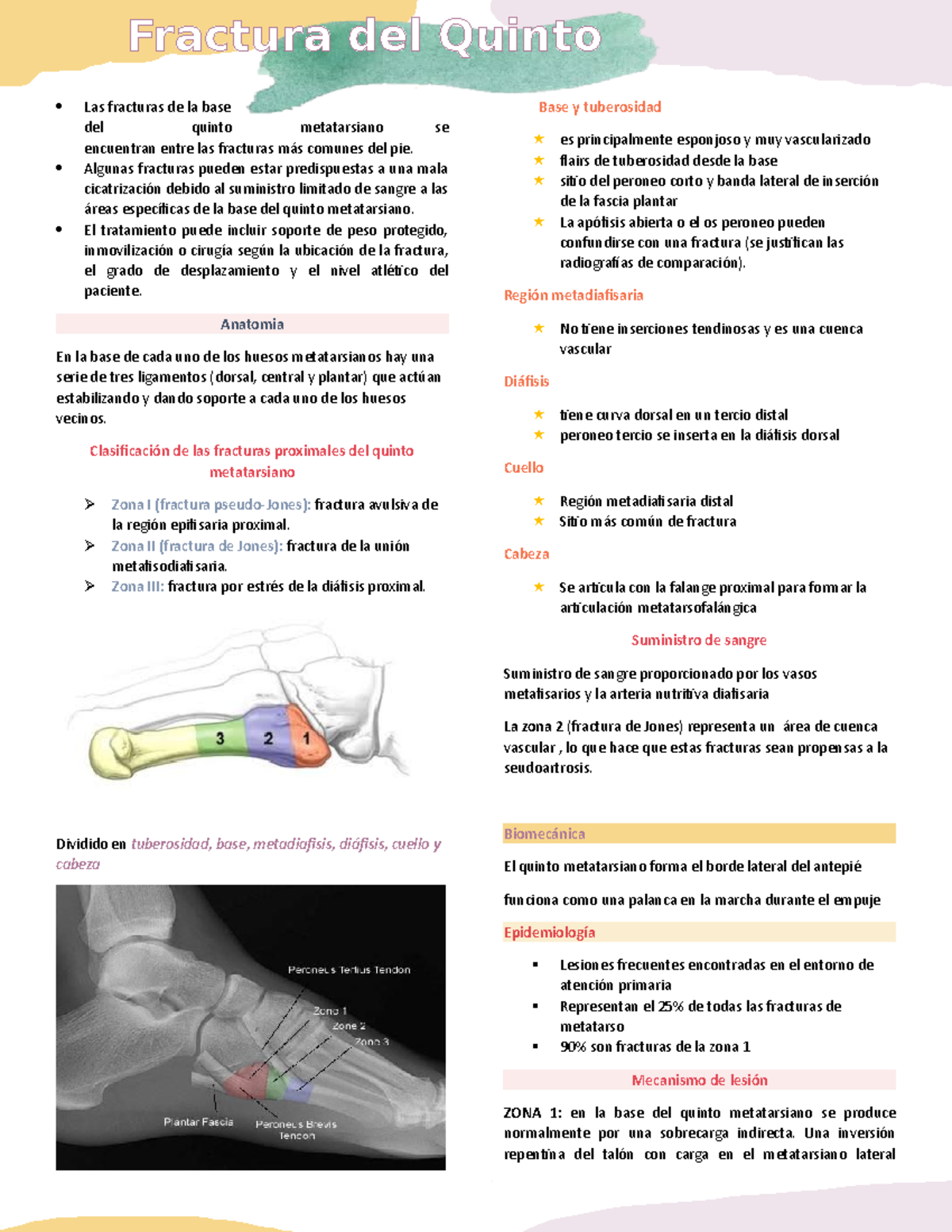 5. Fractura del 5to metatarsiano Las fracturas de la base del quinto