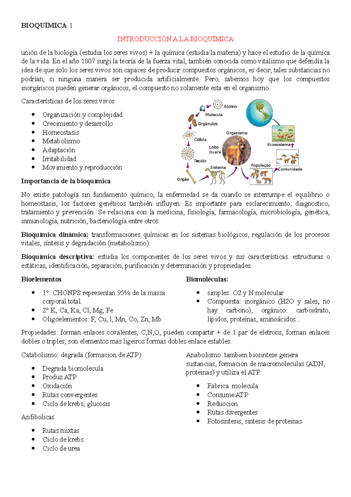 Bioquímica 1 - Resumo Acerca De La Bioquima 1 - BIOQUÍMICA 1 ...