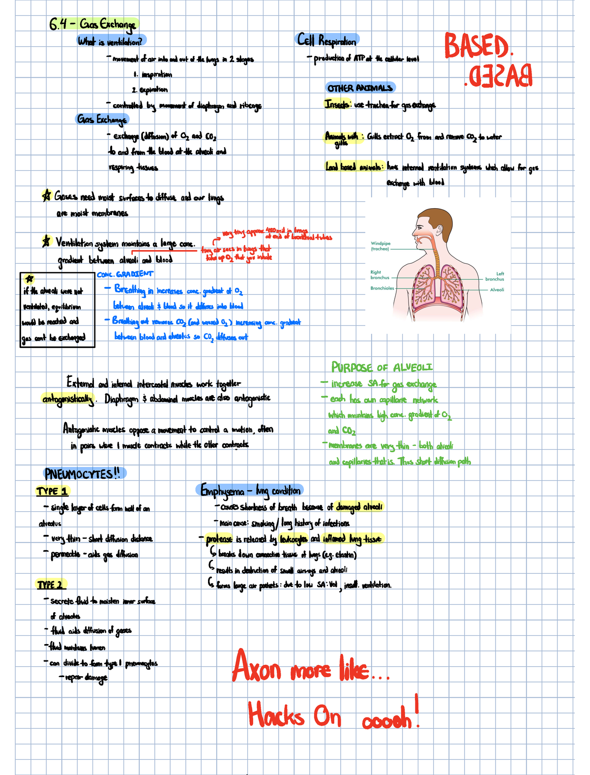 Biology 6.4-6.6 Study + 11 - BIOL 111 - CCBC - Studocu