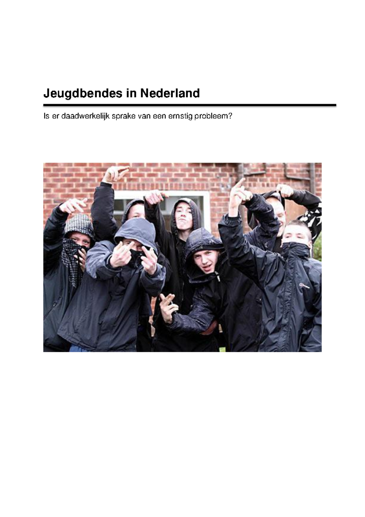 Essay criminaliteit picture