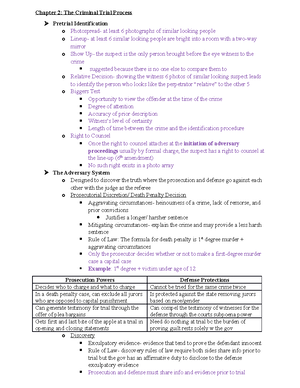 Chapter Three Criminal Law Basics - United States o Issue - can ...