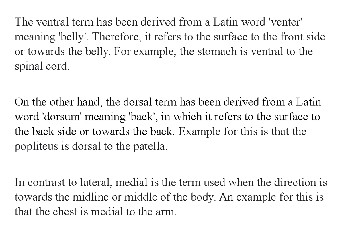 Script N/A The ventral term has been derived from a Latin word