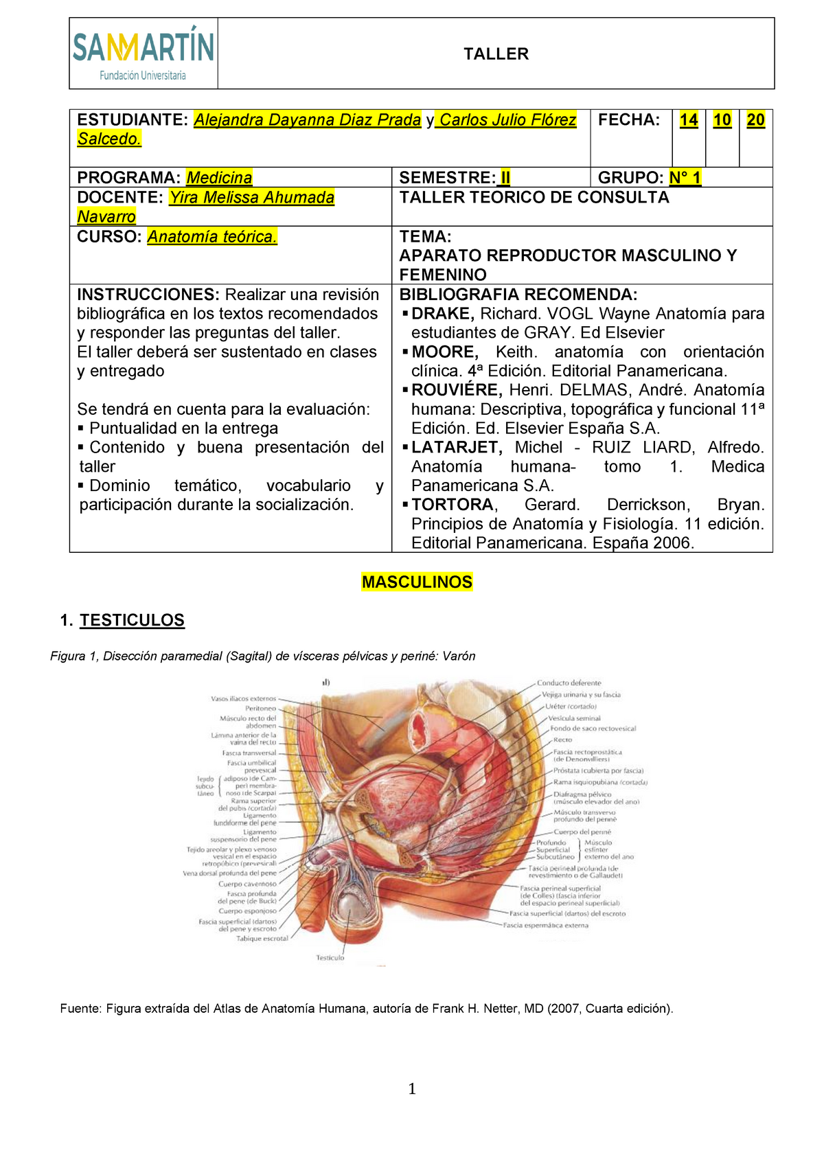 diafragma varicoza)
