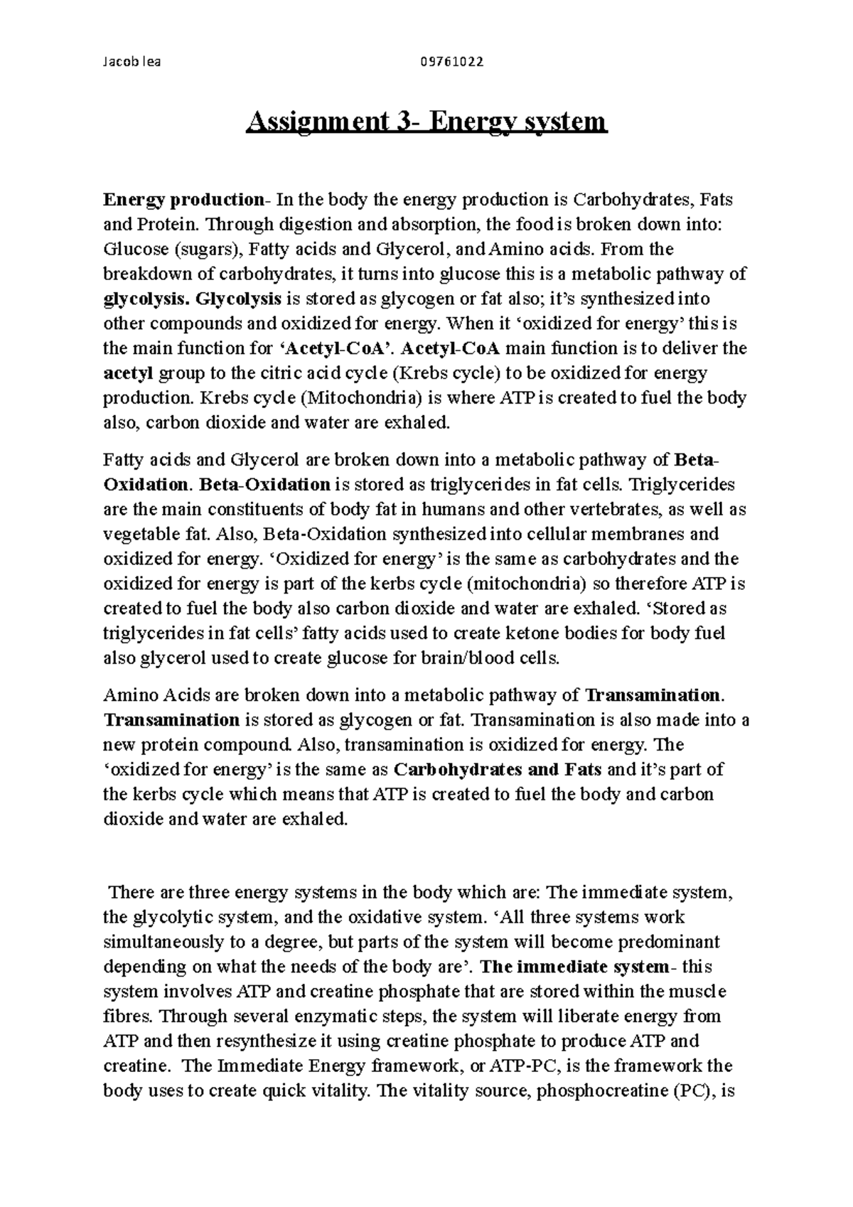 energy assignment pdf