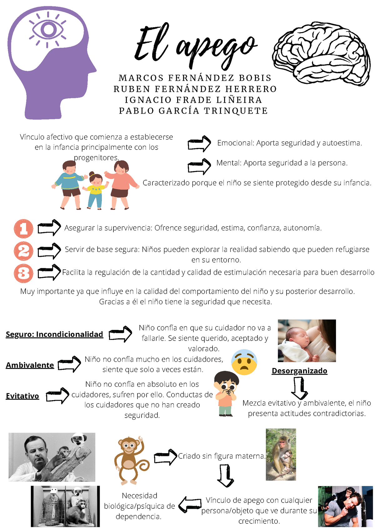 Infografía El Apego Vínculo De Apego Con Cualquier Personaobjeto Que Ve Durante Su 6604