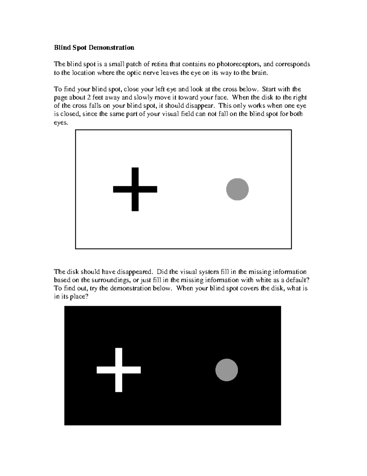 blind spot experiment pdf