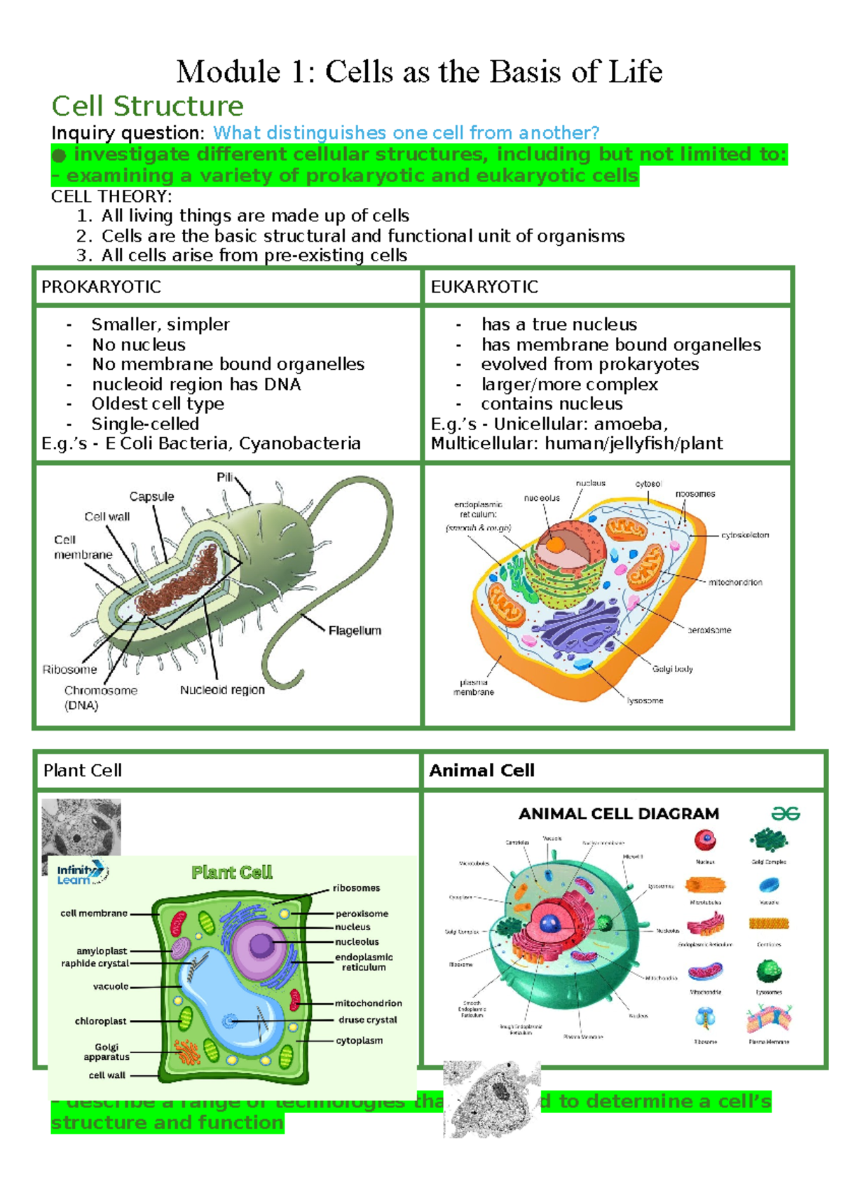 Module 1 Cells as the Basis of Life - All living things are made up of ...