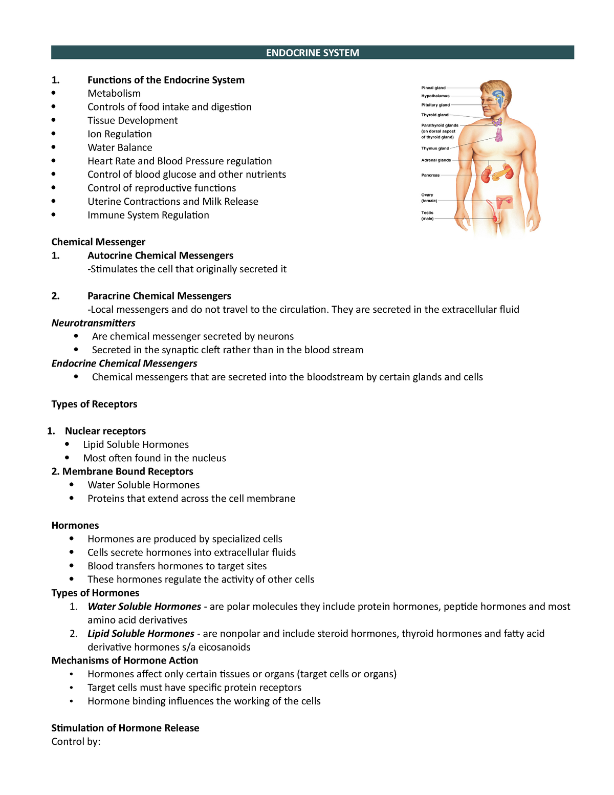 Endocrine lec note (Auto Recovered) - ENDOCRINE SYSTEM Functions of the ...