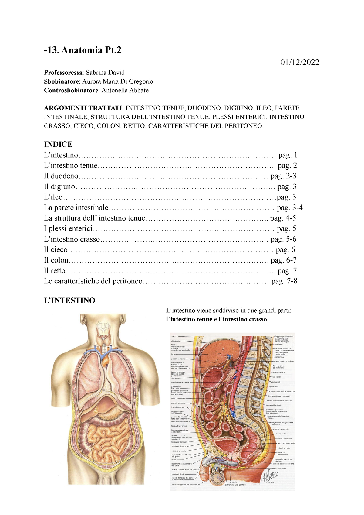 Lezione 13 pt.2 Anatomia -13. Anatomia Pt. 01/12/ Professoressa: Sabrina  David Sbobinatore: Aurora - Studocu