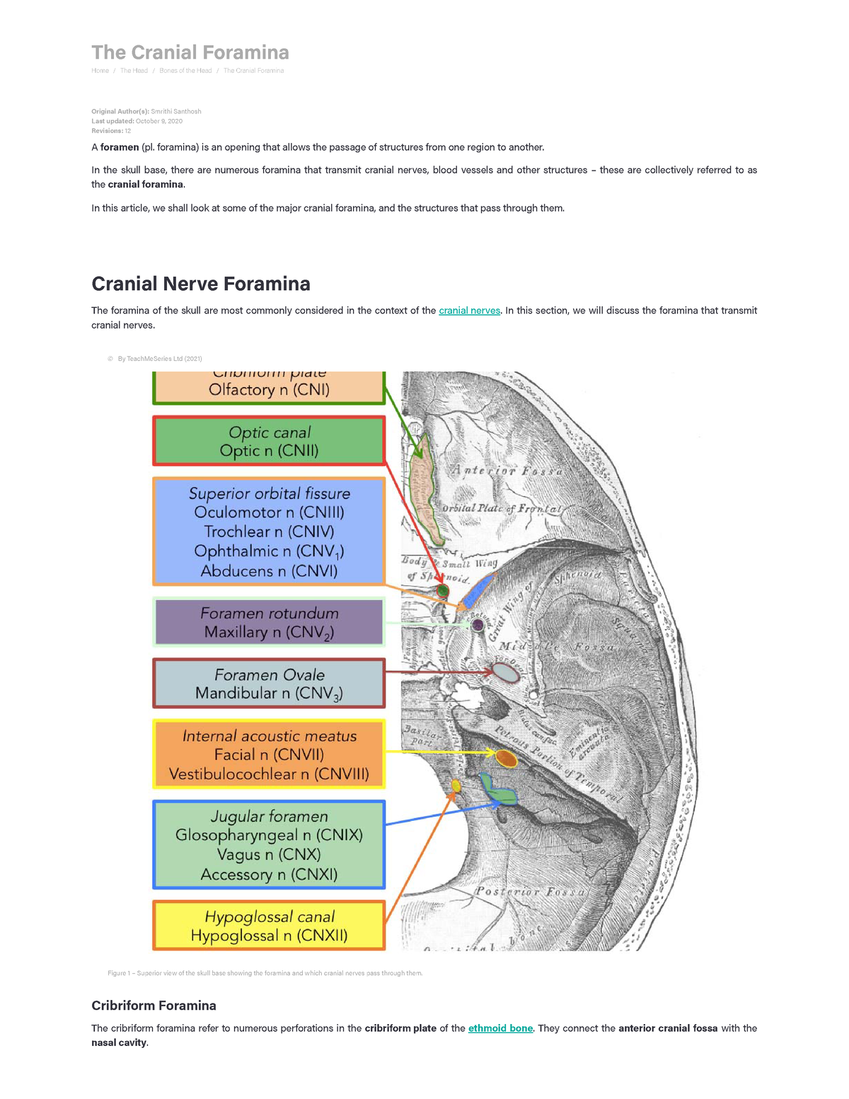 Cranial Foramina Foramen Ovale Skull Teach Me Anatomy The Cranial Foramina Home The 8128