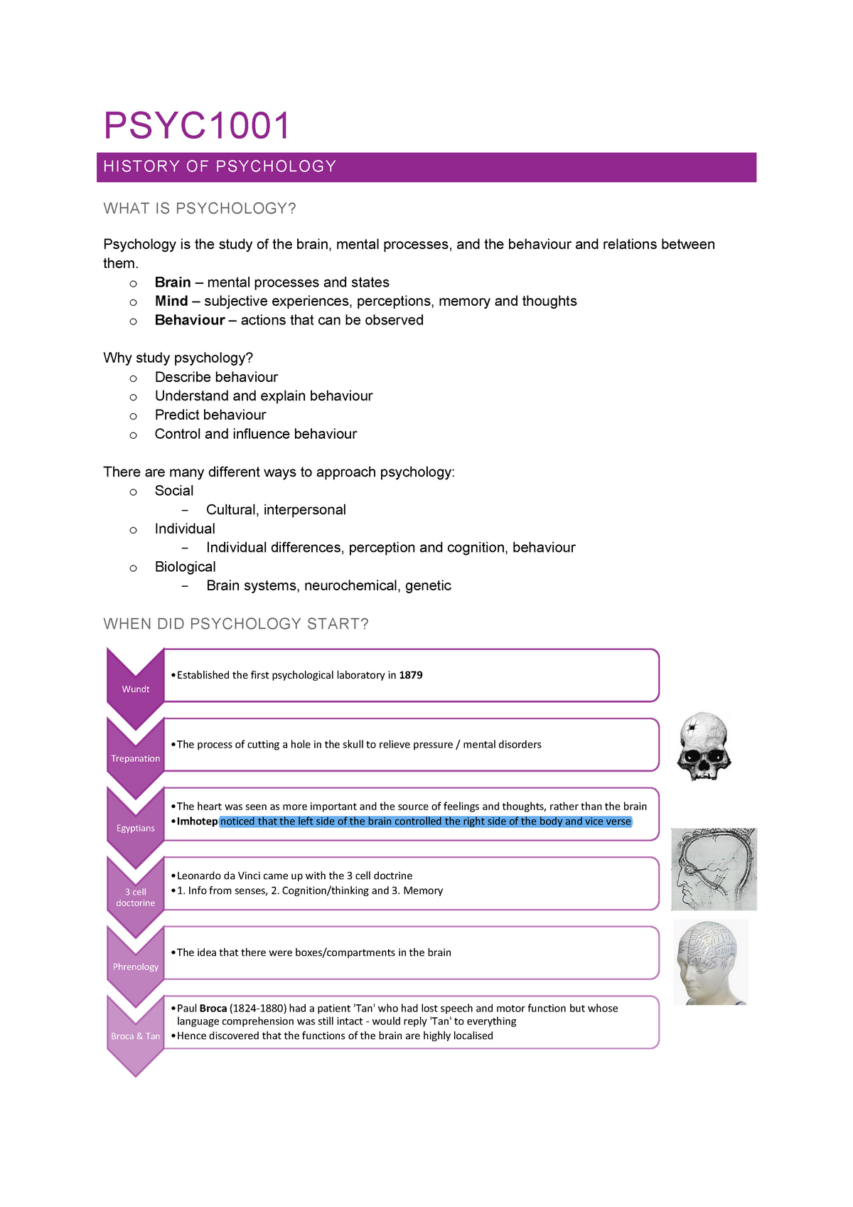 High Level Distinction Psyc1001 Notes Warning Tt Undefined Function