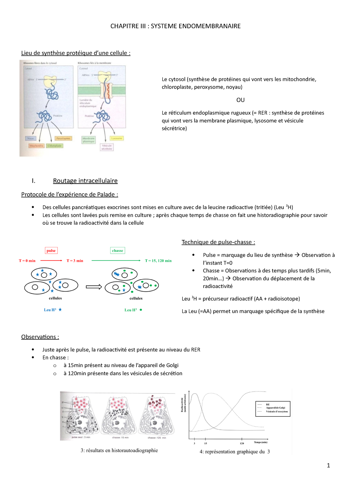 Chapitre III Le Système Endomembranaire - CHAPITRE III : SYSTEME ...